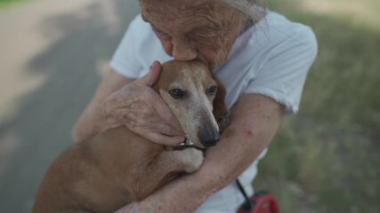 Senior 90-year-old woman with gray hair and deep wrinkles sits outdoors In assisted living facility on bench with small dachshund dog. Old female hugs and cuddles pet in the park on a bench.