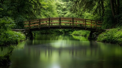 Obraz premium Rustic wooden bridge crossing over a slow moving river with the surrounding trees reflected on the water s surface giving a peaceful natural vibe isolated on a lush green background