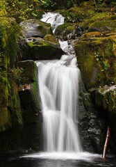 Obraz premium PNW Waterfall