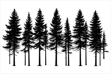 Fototapeta premium Pine Tree and forest silhouettes - Vector illustration collection of trees and wilderness nature objects - various christmas pine tree silhouette