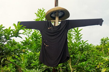 Handmade Scarecrow for Garden. Halloween garden decoration. Designed with a rustic style, it adds a charming and unique touch while helping to keep birds away from crops.