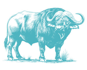 buffalo vector illustration