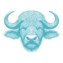 buffalo vector illustration