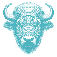 buffalo vector illustration