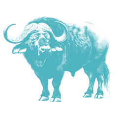 buffalo vector illustration
