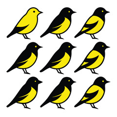 Set of Solid color Mourning Warbler animal vector design