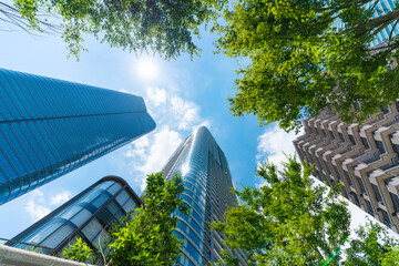 looking up view of city skyline in tokyo, japan