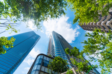 looking up view of city skyline in tokyo, japan
