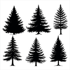 Obraz premium Pine Tree and forest silhouettes - Vector illustration collection of trees and wilderness nature objects - various christmas pine tree silhouette