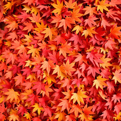 A pile of colorful maple leaves in various autumn shades, overlapping and scattered randomly.