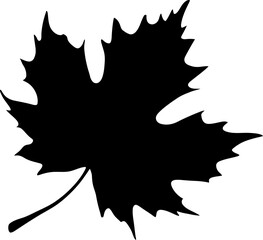 Simple maple leaf silhouette icon vector illustration isolated on white background