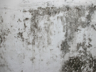 Old Wall Texture background with covered in moss