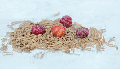 Yellow meal worm colony eating some Surinam cherries that fell to the ground. This caterpillar has the scientific name Tenebrio molitor.