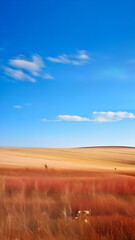 Fototapeta premium Autumn backdrop