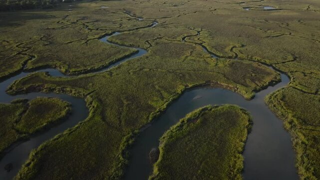 Salt Marshlands on the coast of South Carolina during sunrise