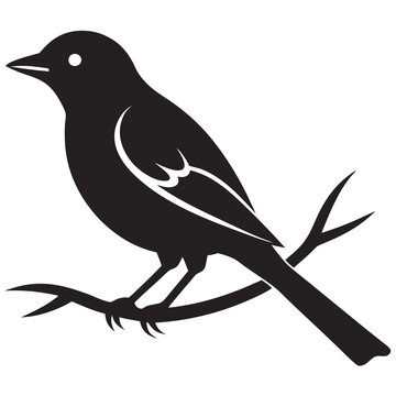 recommend clip art: Bird on branch silhouette vector illustration
