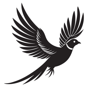 recommend clip art: Flying pheasant bird silhouette vector illustration