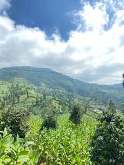 Beautiful panoramic of mountain with cloud in the bluesky, base in Yogyakarta Indonesia