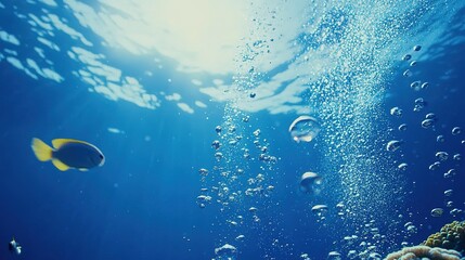air bubbles underwater background diving in clean sea. beautiful small fish 