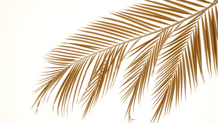 Tropical palm leaf in sepia tones on white background, Generative AI