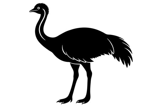 recommend clip art: 
                    Emu bird vector silhouette, ostrich emu bird vector illustration 