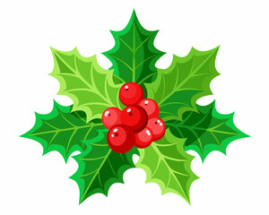 Christmas Holly with Red Berries and Green Leaves, Evergreen Pine Needles vector illustration