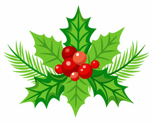 Christmas Holly with Red Berries and Green Leaves, Evergreen Pine Needles vector illustration