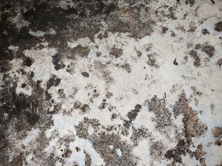 Weathered Concrete Texture: A grunge background image showcasing the raw beauty of aged concrete. Perfect for adding a vintage, industrial, or rustic feel to your designs.