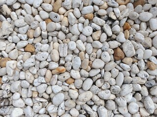 White and Beige Pebbles Texture: A close-up image of smooth, white and beige pebbles, creating a natural, textural background. Perfect for design projects, websites, and presentations. 