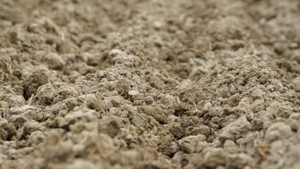Bangladesh field. Cropland soil. Fine-grained soil creates an artistic impression.