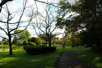 静かな散策路　秋の公園