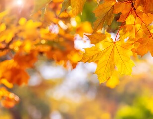 Obraz premium A close-up of autumn leaves glowing in sunlight with soft bokeh and light particles in the air, creating a dreamy, serene fall atmosphere against a dark green blurred background