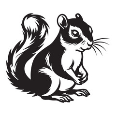 The squirrel black silhouette with white background
