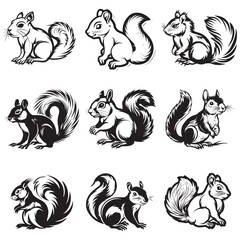 The squirrel black silhouette with white background