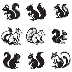 The squirrel black silhouette with white background