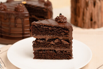 a piece of chocolate cake on the plate