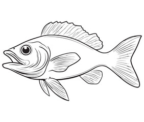 Illustration of a fish, Outline cod fish, Vector fish