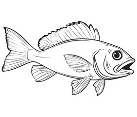 Illustration of a fish, Outline cod fish, Vector fish
