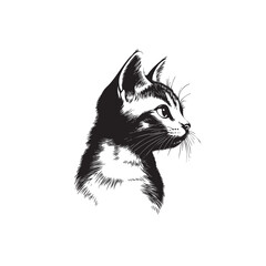 Walking Cat vector icon. Cat silhouette symbol. Linear style sign for mobile concept and web design. House animals symbol logo illustration