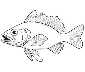 Illustration of a fish, Outline cod fish, Vector fish