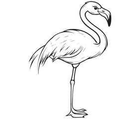 Illustration of a flamingo, Flamingo vector, Outline of a flamingo