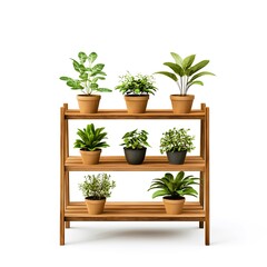 Fototapeta premium Wooden Plant Stand with Green Potted Plants on White Background