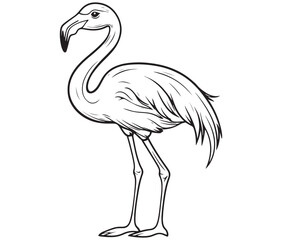 Illustration of a flamingo, Flamingo vector, Outline of a flamingo