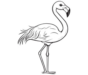 Illustration of a flamingo, Flamingo vector, Outline of a flamingo