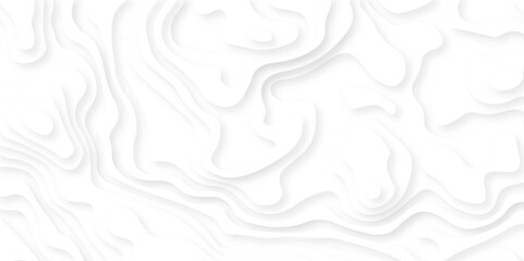  White paper cut decoration textured with wavy layers 3d topography relief background. 3d white papercut topography relief. Cover layout template. 