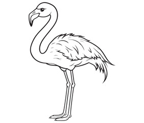Illustration of a flamingo, Flamingo vector, Outline of a flamingo