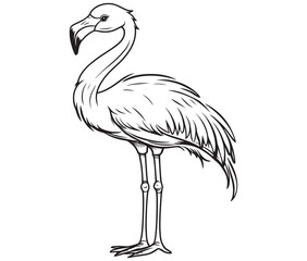 Illustration of a flamingo, Flamingo vector, Outline of a flamingo