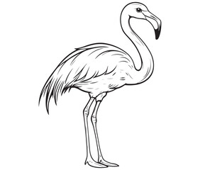 Illustration of a flamingo, Flamingo vector, Outline of a flamingo