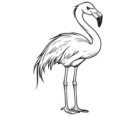 Illustration of a flamingo, Flamingo vector, Outline of a flamingo
