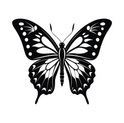 Butterfly vector silhouette